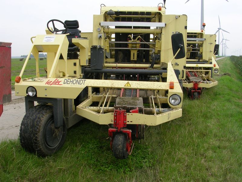 16 augustus 2006: vlas persen