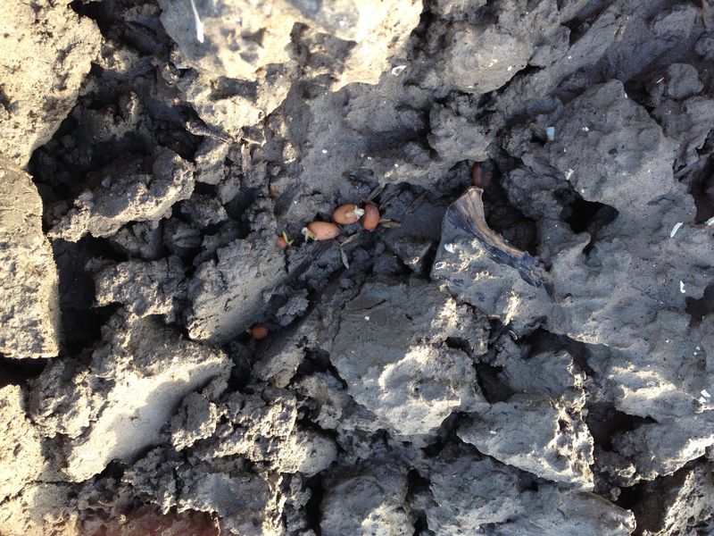 8 december 2013; weekoverzicht