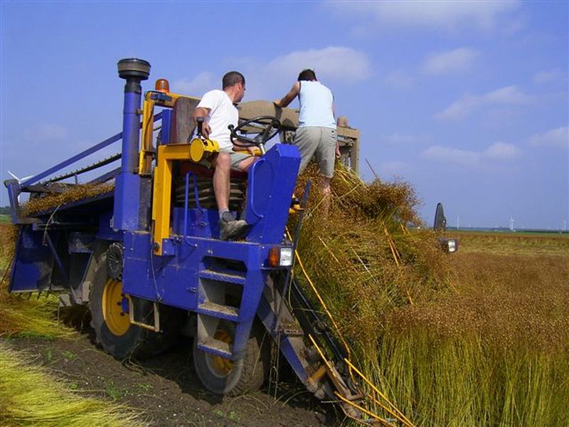 31 juli 2004