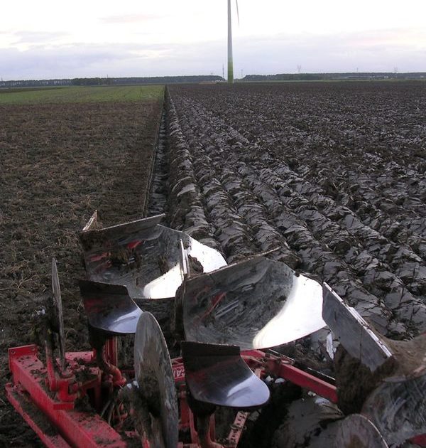 5 november 2006: suikerbieten rooien en ploegen