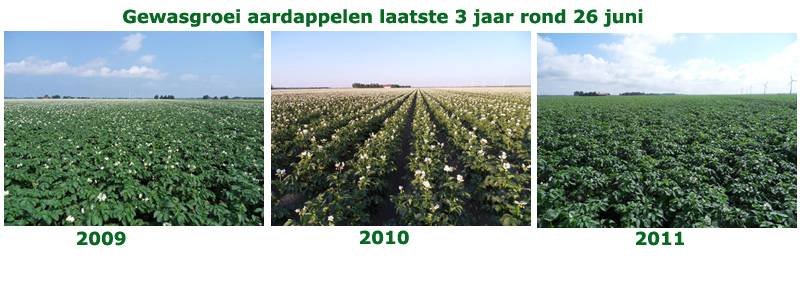 28 juni 2011: gewasgroei laatste 3 jaar