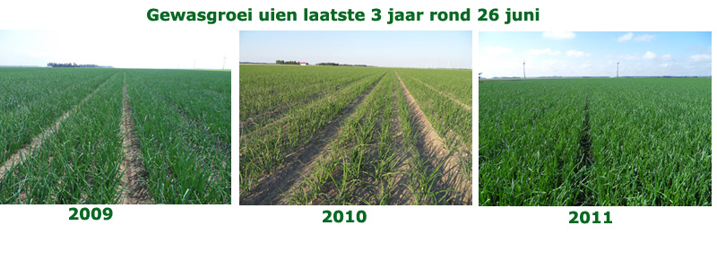 28 juni 2011: gewasgroei laatste 3 jaar