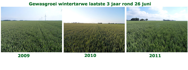 28 juni 2011: gewasgroei laatste 3 jaar