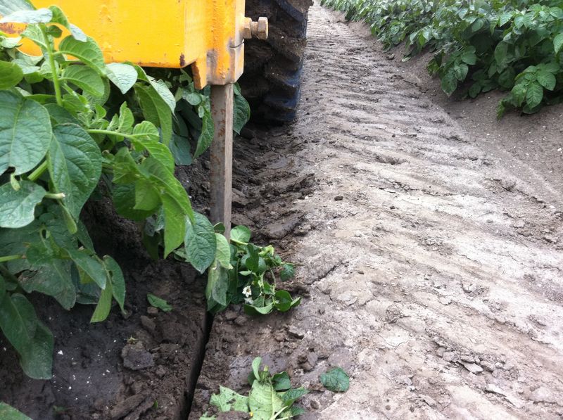 15 juni 2011: woelen spuitsporen