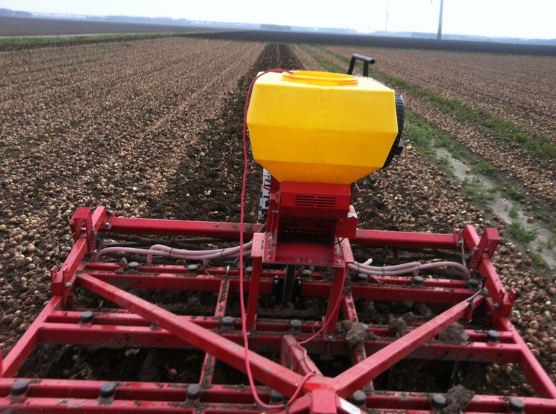 29 oktober 2011: uien vernietigd