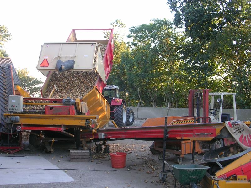 7 september 2007; uien laden