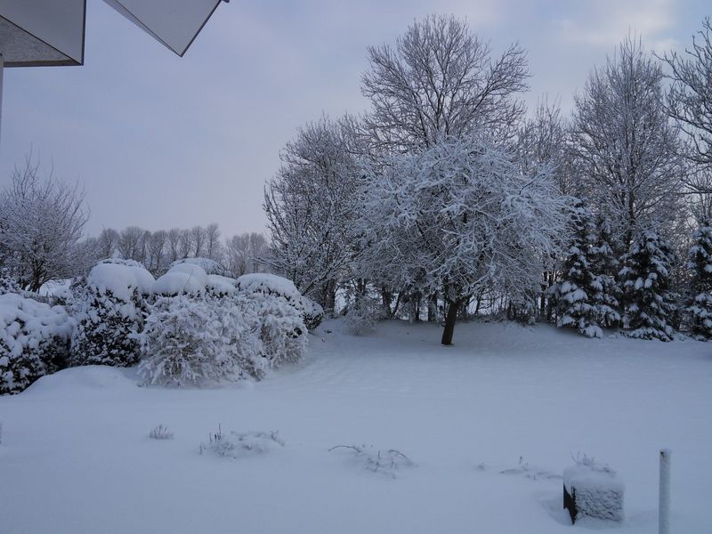 10 januari 2010; winters