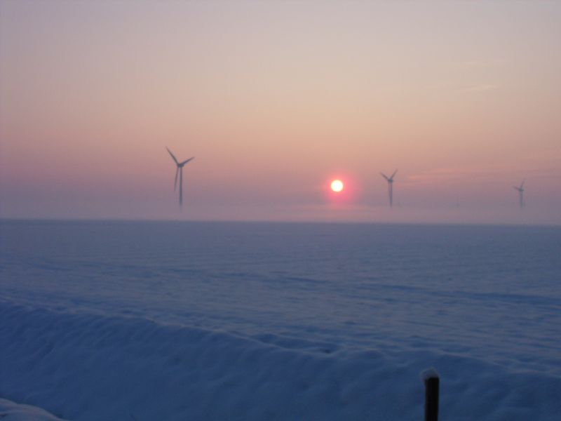 10 januari 2010; winters