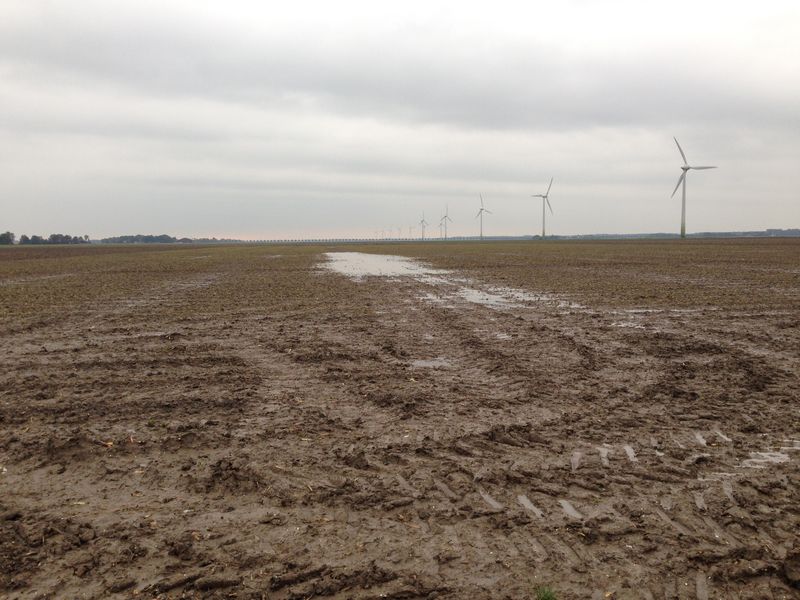 In de Overijsselse tocht, die achterlangs ons bedrijf loopt, staat het water enkele cm's boven de beschoeiing. Voorlopig blijft het wisselvallig. Er moet nog veel gebeuren op het land. Wintertarwe moet gezaaid worden en er moet nog geploegd worden.