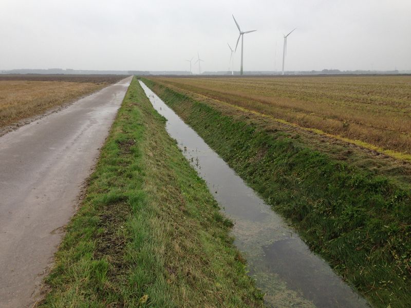 In de Overijsselse tocht, die achterlangs ons bedrijf loopt, staat het water enkele cm's boven de beschoeiing. Voorlopig blijft het wisselvallig. Er moet nog veel gebeuren op het land. Wintertarwe moet gezaaid worden en er moet nog geploegd worden.
