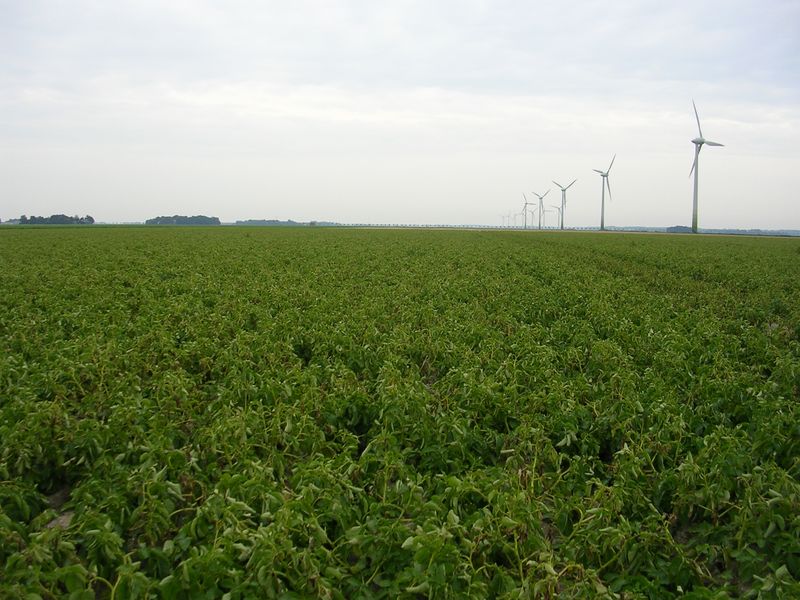 16 augustus 2009; droog en warm