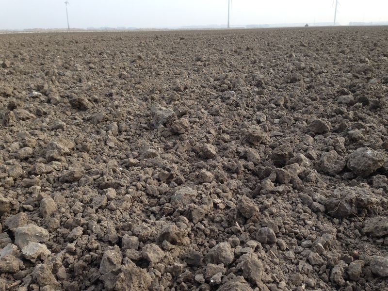 16 maart 2014; weekoverzicht