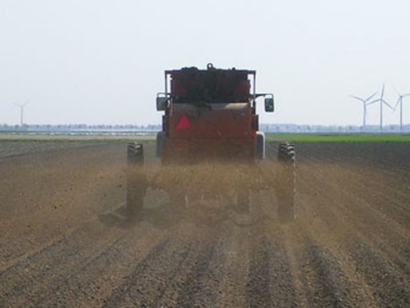 18 mei 2008; kippemest op aardappelen