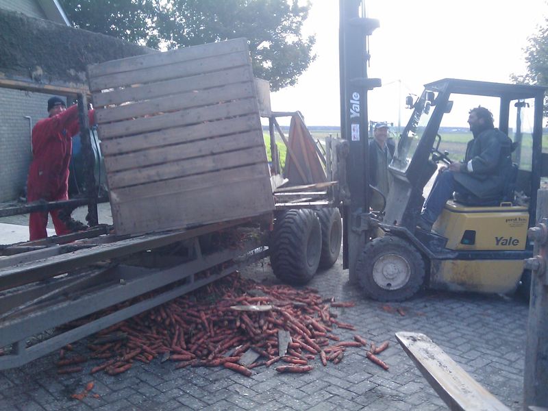 18 oktober 2009; winterpeen oogst