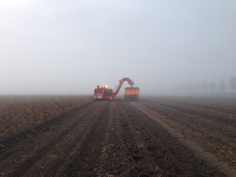 18 oktober 2013; aardappels van collega gerooid