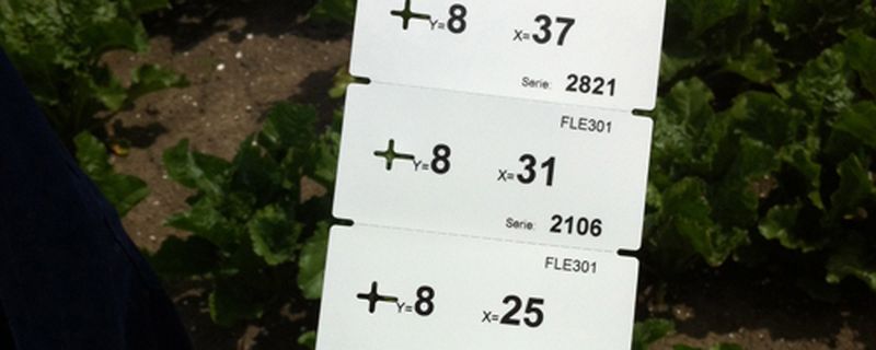 1 juli 2013; beoordelen/labelen suikerbietenproefveld