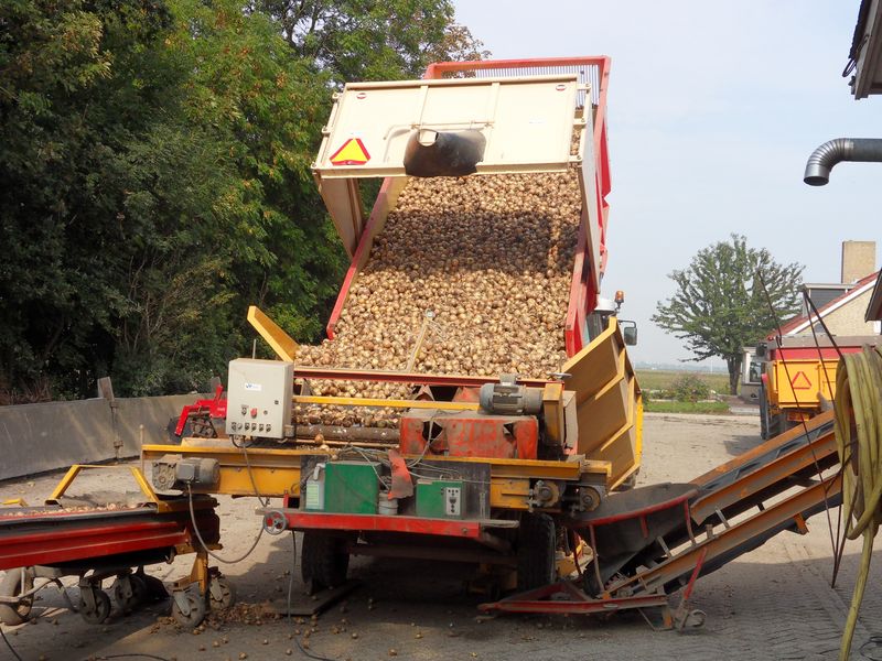 23 september 2010; uien in de bewaring