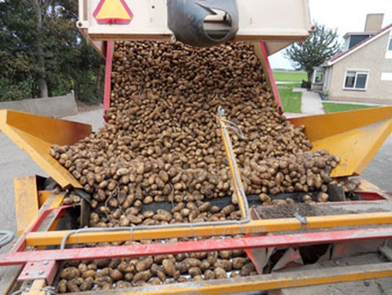 24 januari 2010; reparatie stortbak, aardappels gegast