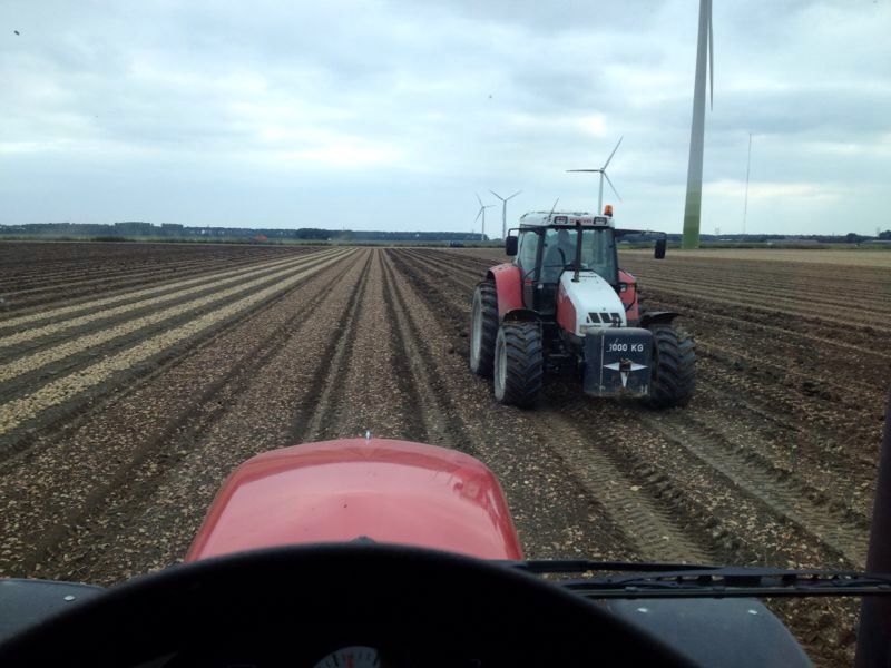 Harrysfarm-Swifterbant-Flevoland-25september2013-uienland-woelen-IMG_3932