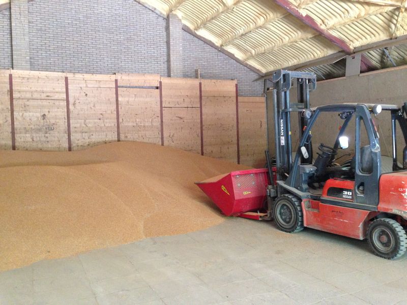 26 augustus 2013; wintertarwe afleveren