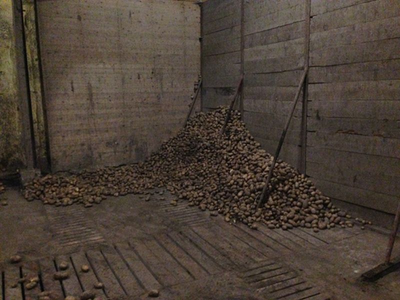 26 februari 2014; 3e Harrysfarm Pieperprijsvraag