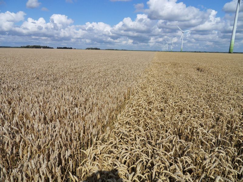 26 juli 2009; regen gevallen