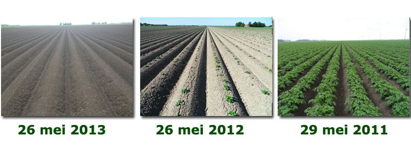 26 mei 2013; vergelijk gewasgroei gewassen