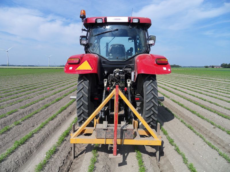 28 juni 2009; peensporen woelen en maaikorven