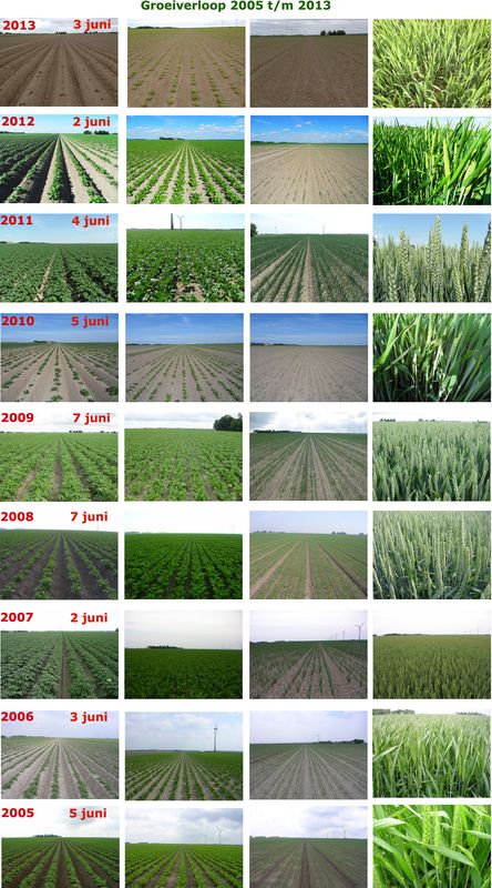 3 juni 2013; vergelijk gewasgroei gewassen