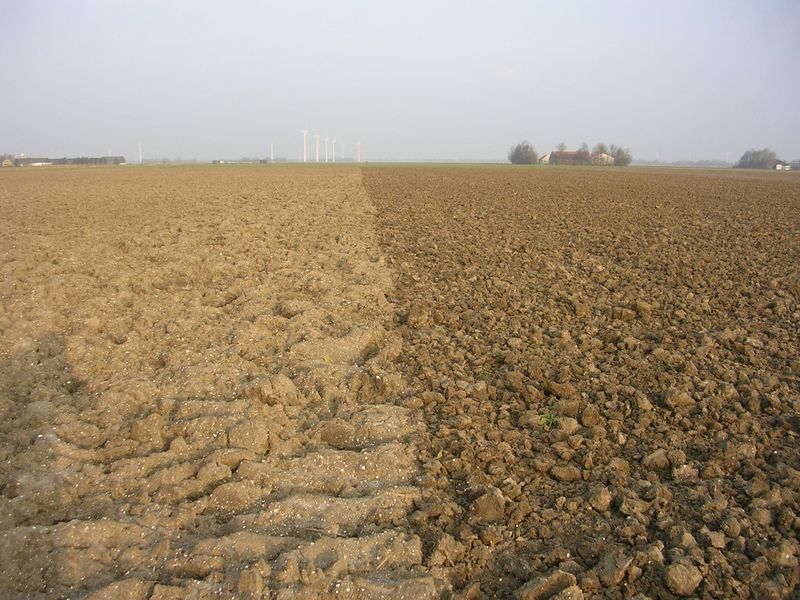 6 januari 2008; voorbewerken uienland