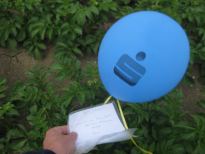 7 juni 2009; onkruidbestrijding onder controle