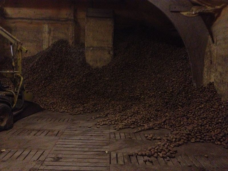 8 april 2013; Pieperprijsvraag 2013