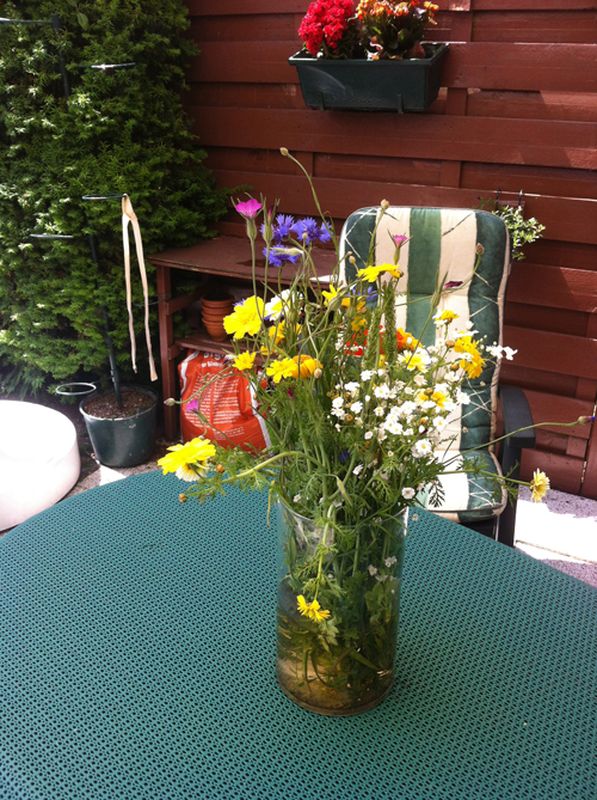 8 juli 2013; gewasstand