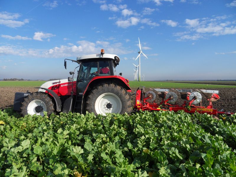 8 november 2009; stuk geploegd en daarna nat