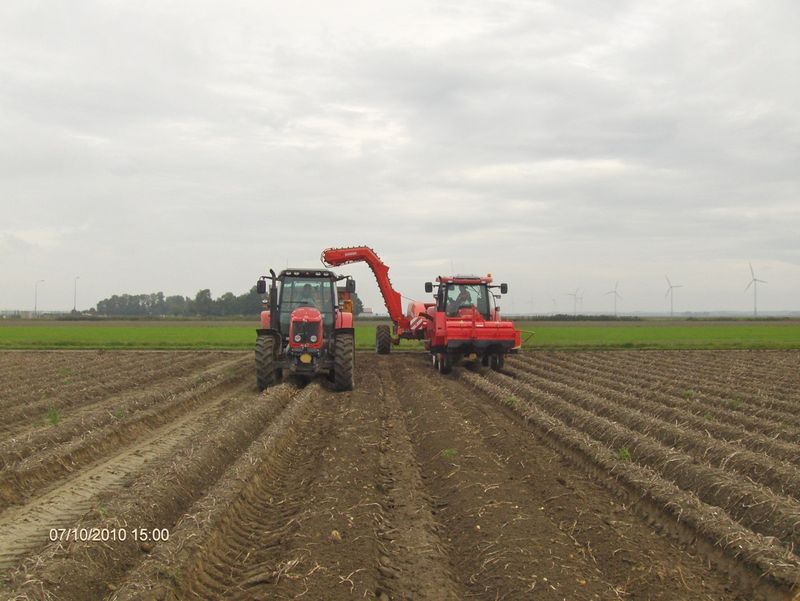 9 oktober 2010; aardappels bij buurman eruit