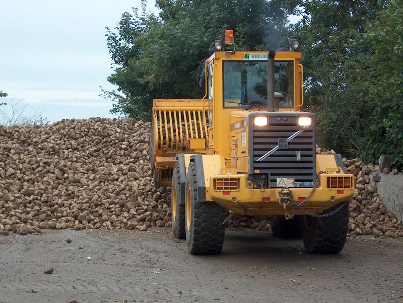 Harrysfarm-Swifterbant-Flevoland-september2002-suikerbieten-rooien-18-09 005