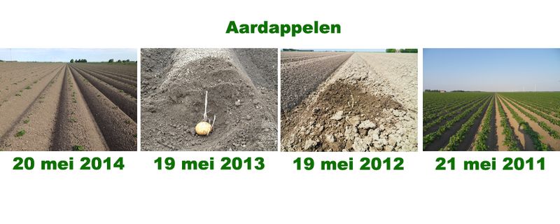 19 mei 2014; vergelijking gewasgroei