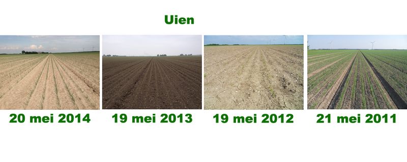 19 mei 2014; vergelijking gewasgroei