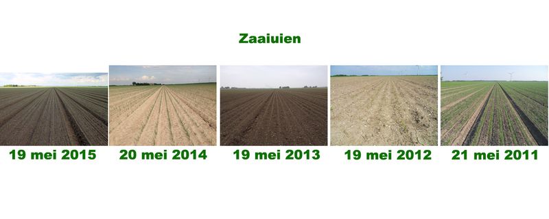 19 mei 2015; gewasgroei vergelijking 5 jaar