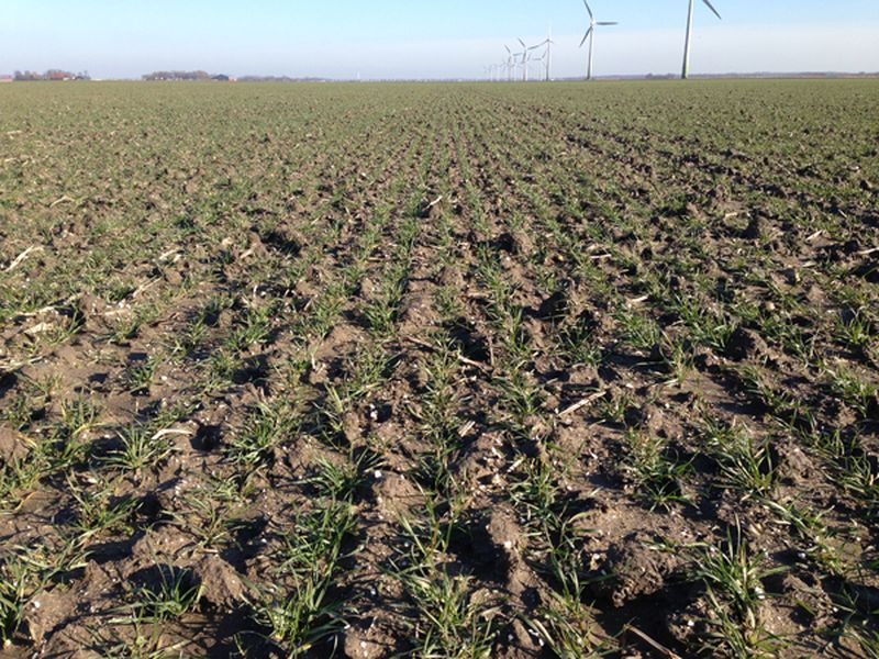 22 fenruari 2015; weekoverzicht