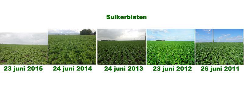 23 juni 2015; 5 jaarlijkse gewasgroeivergelijking