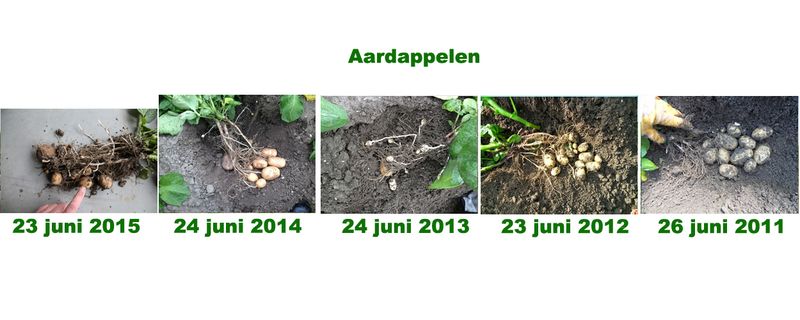 23 juni 2015; 5 jaarlijkse gewasgroeivergelijking