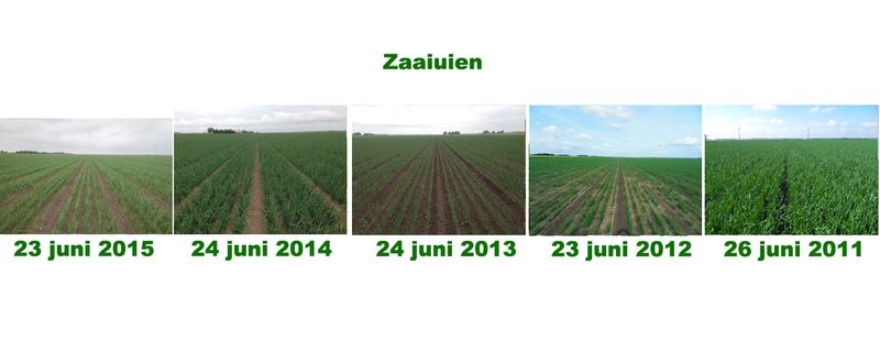23 juni 2015; 5 jaarlijkse gewasgroeivergelijking