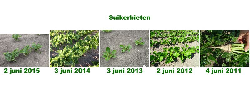 2 juni 2015; 5 jaarlijkse gewasgroeivergelijking