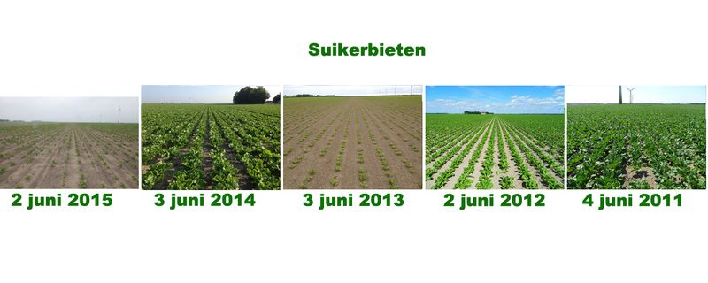 2 juni 2015; 5 jaarlijkse gewasgroeivergelijking