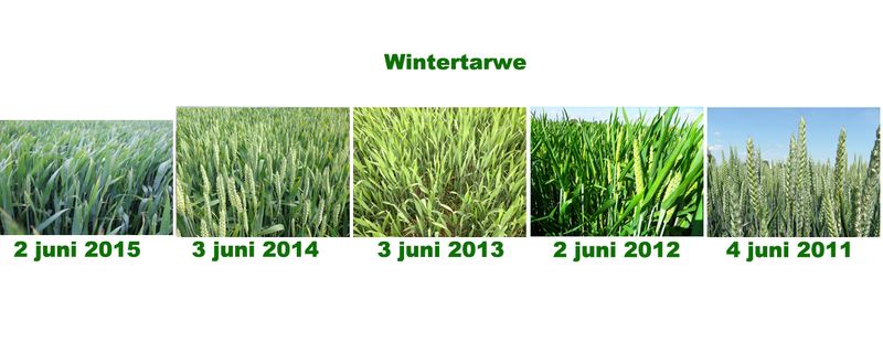 2 juni 2015; 5 jaarlijkse gewasgroeivergelijking