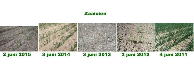 2 juni 2015; 5 jaarlijkse gewasgroeivergelijking