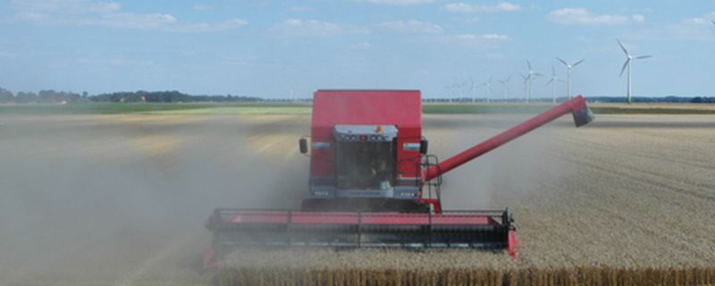 Harrysfarm-Swifterbant-Flevoland-jaaroverzicht 2012-dorsvp
