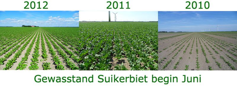 Harrysfarm-Swifterbant-Flevoland-jaaroverzicht 2012-standbietjuni