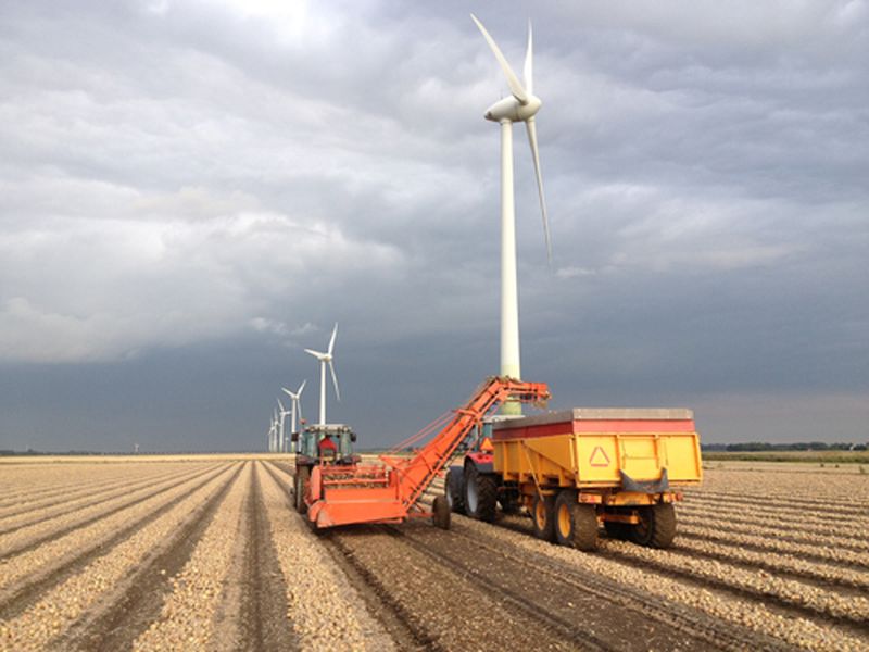 Harrysfarm-Swifterbant-Flevoland-jaaroverzicht 2012-uiladen1
